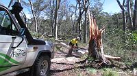 14-Ranger clears another fallen tree on the Tingaringy Track